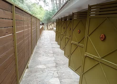 Fila de puertas de los aseos privados entre los pinos