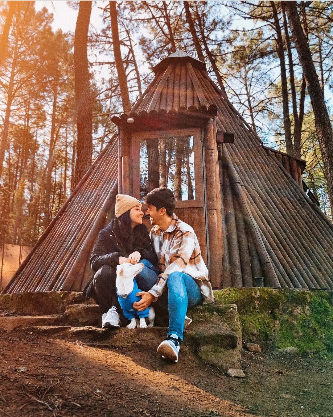 Pareja paseando junto a su perro suelto entre los pinos