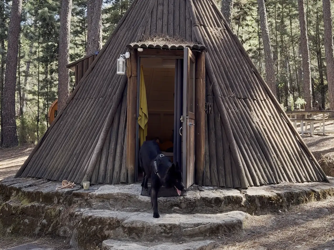 Saliendo del tipi El perro saliendo del tipi por los escalones de piedra, con la puerta abierta detrás