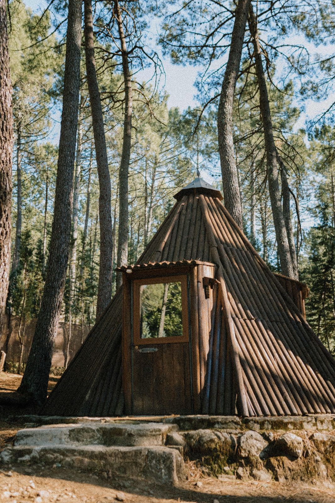 Tipi entre los pinos del bosque de Gredos