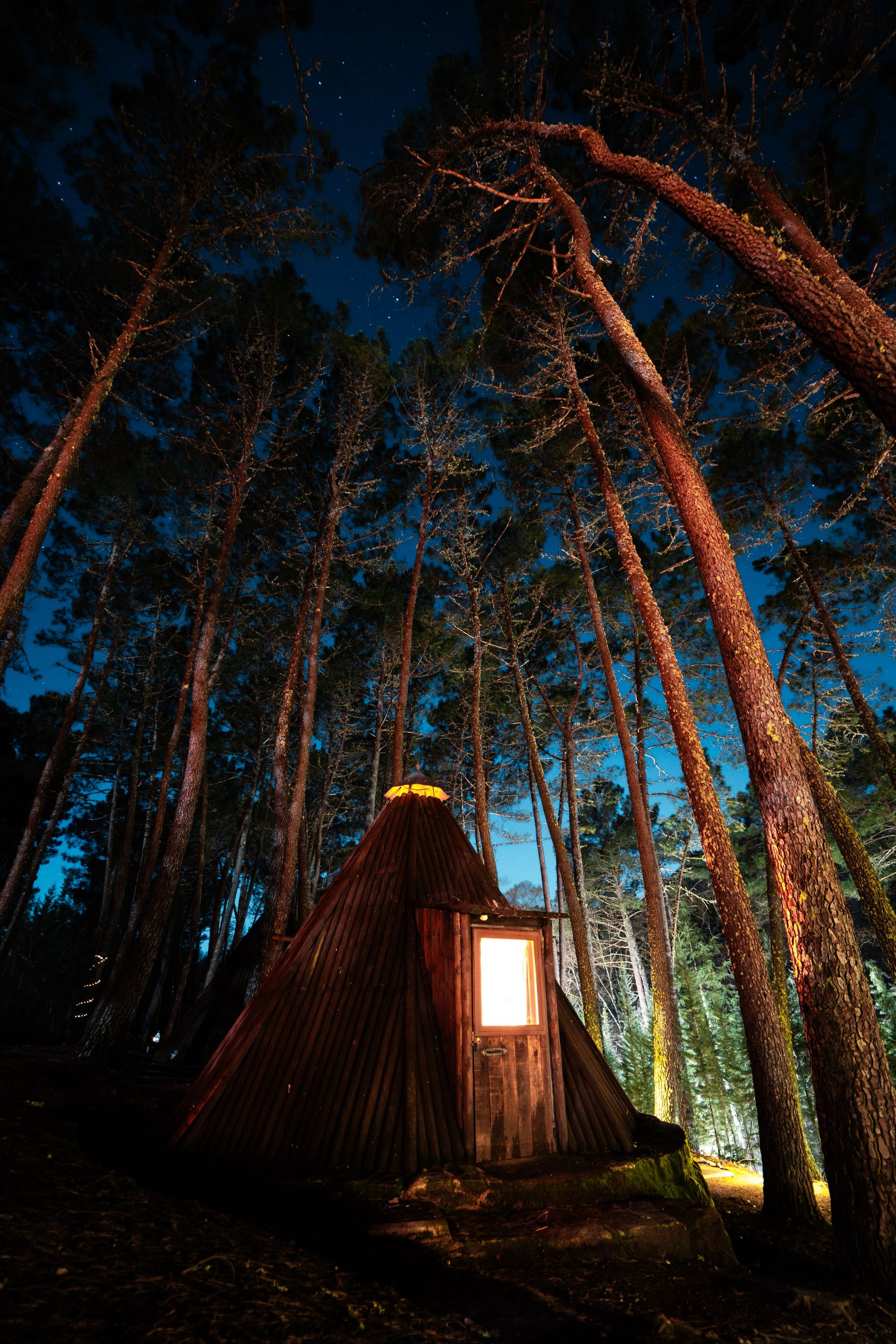 Tipi iluminado entre los pinos bajo el cielo estrellado de Gredos