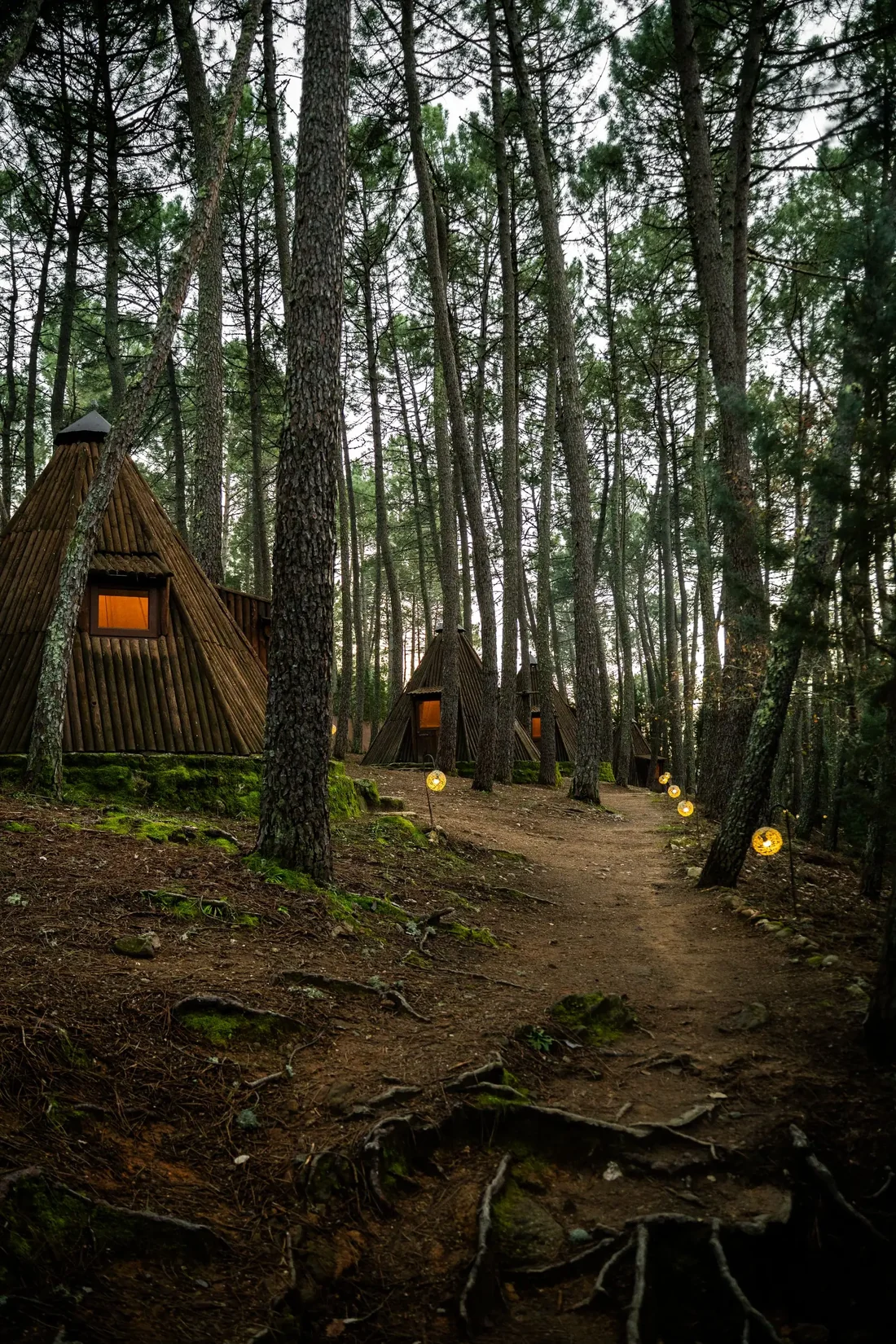 Tipis de madera en fila junto al camino, cerca de la zona común, al atardecer